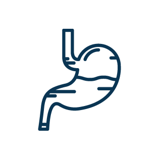 Gastroenterologia
